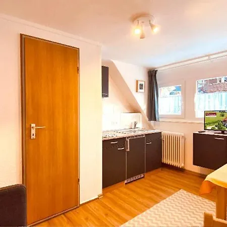 Guest house Elisabeth Todtnauberg