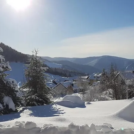 Elisabeth Guest house Todtnauberg