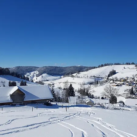 Elisabeth Guest house Todtnauberg