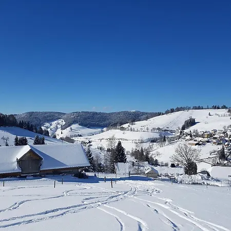 Elisabeth Pensionat Todtnauberg